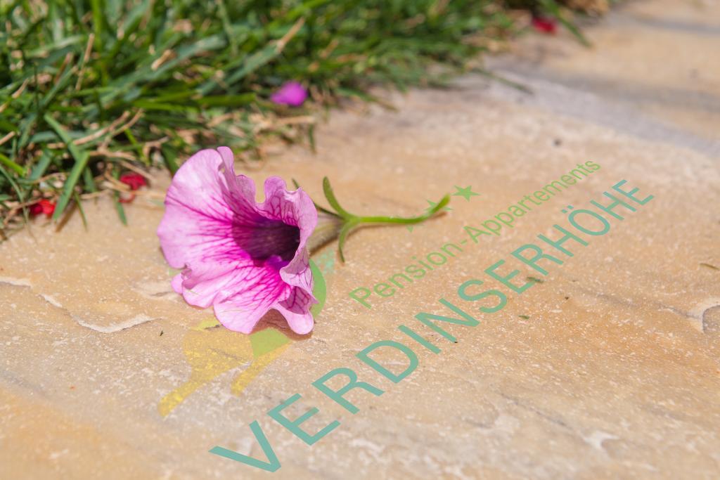 Pension Verdinserhoehe 思科纳 外观 照片